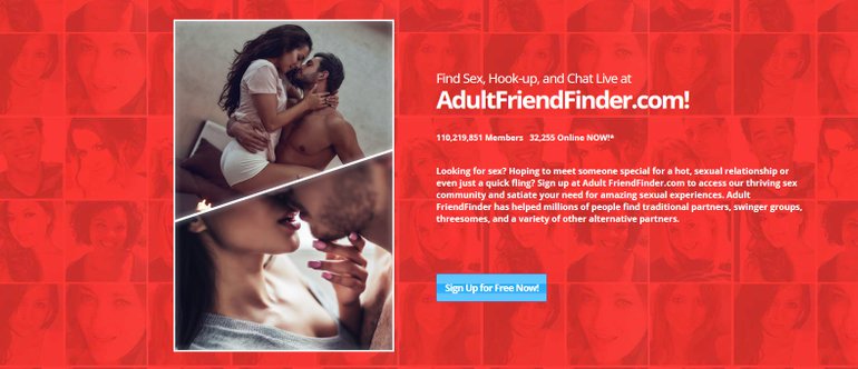 Screenshot Adult Friend Finder Page